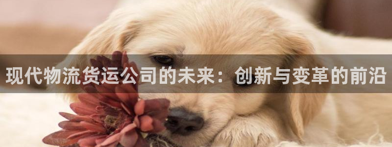 jdb爆分多的游戏